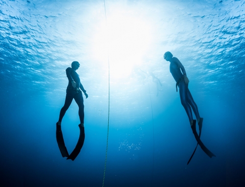 Bij het begin van een nieuw jaar