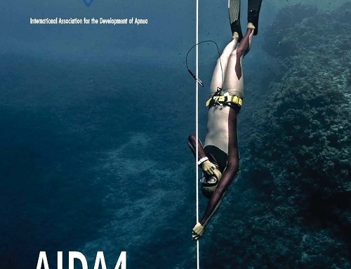 New AIDA 4 material has been released!