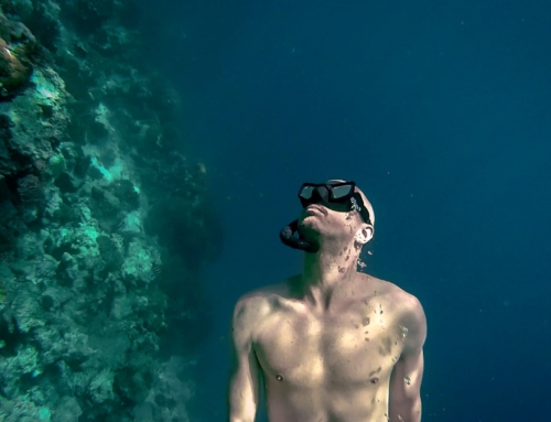 First course from a brand new instructor