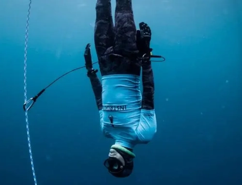 Interview with Jean-Pol François – AIDA Belgium: A Collective Adventure Driven by Passion