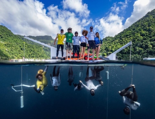 Interview with Jeroen Van Haudt ICU/ER Nurse, Instructor, and freediving safety advocate