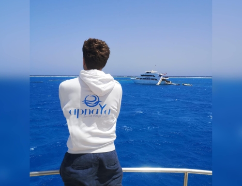 Interview with David Hespel: AIDA Belgium instructor – Freediving as a path to presence